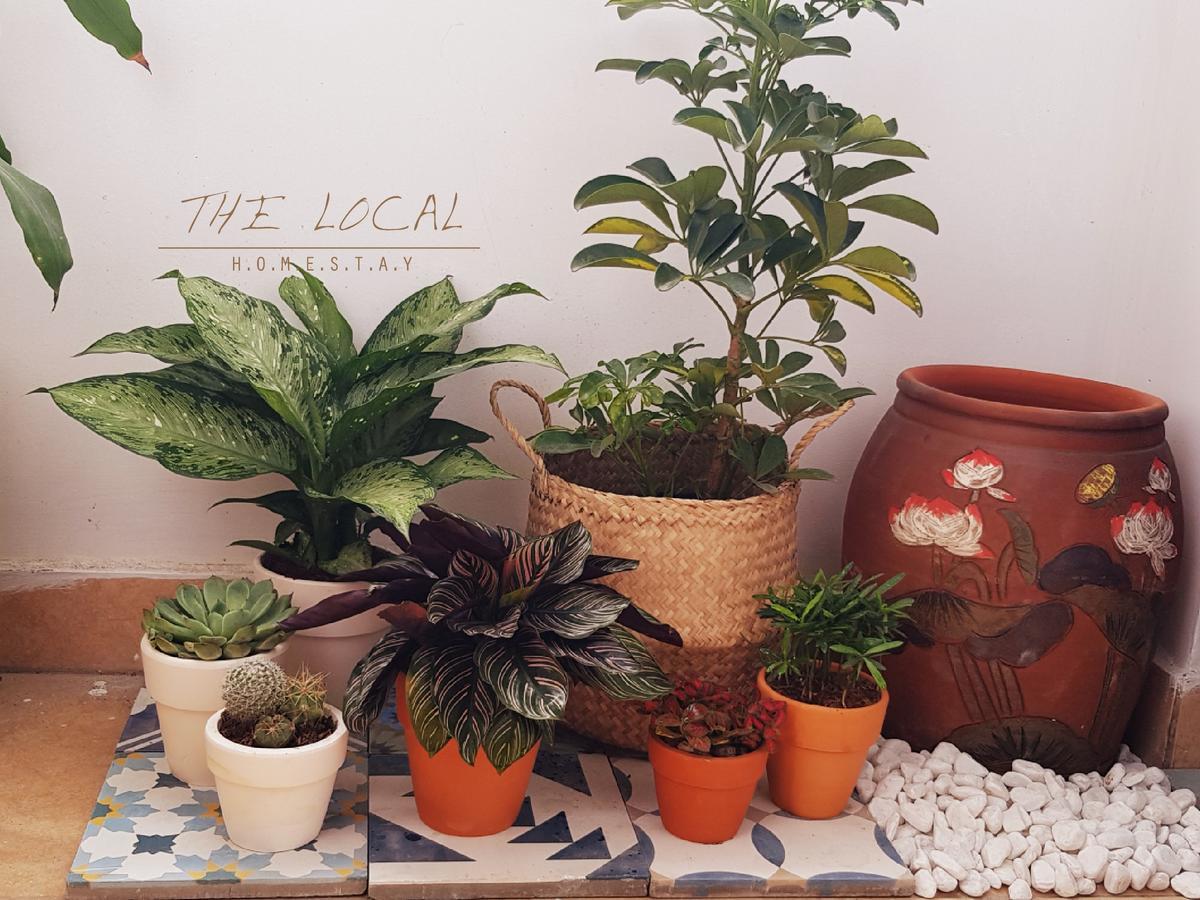The Local Homestay Хошимин Екстериор снимка